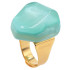 法国Denaive树脂戒指Bague Everly
